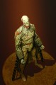 Nemesis cover PL 3.jpg
