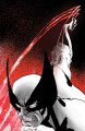 Wolverine_gallery_03.jpg
