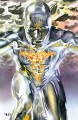110 Marvels25 PL.jpg